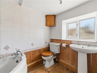Picture 23